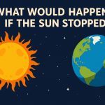 What Would Happen If the Sun Stopped?